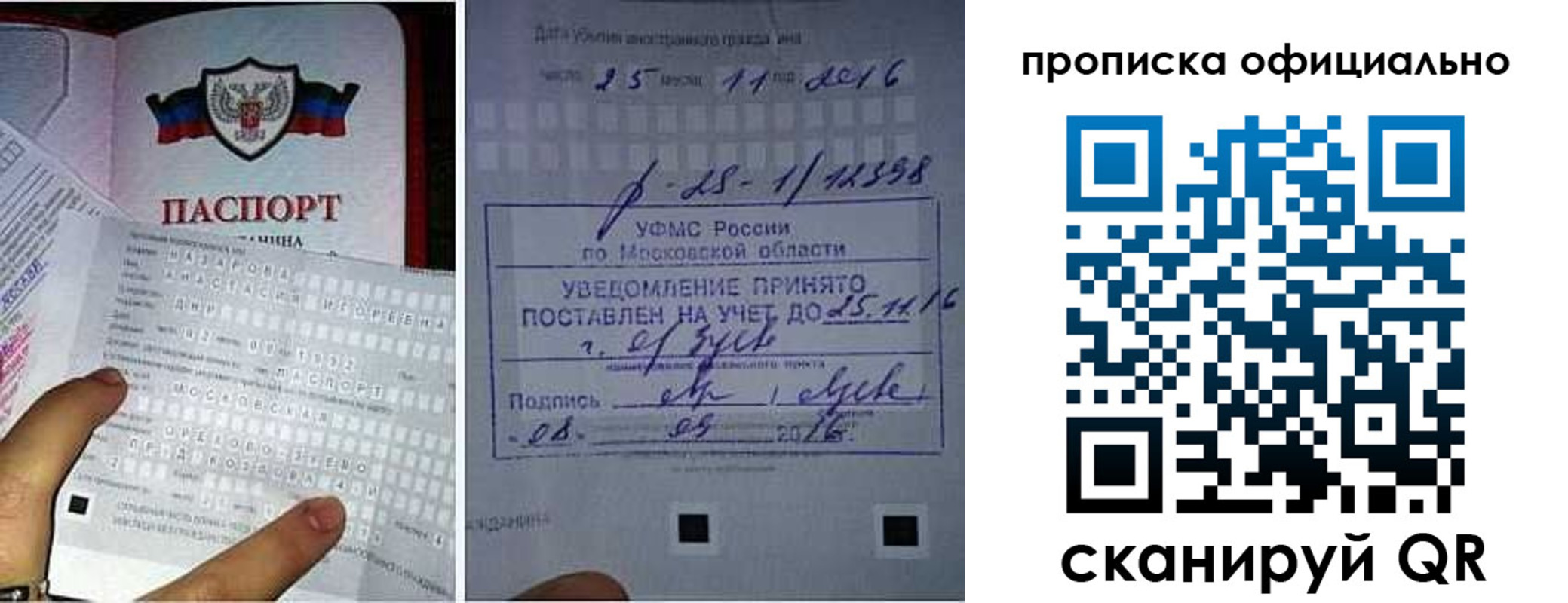 прописка паспорт в Кохме